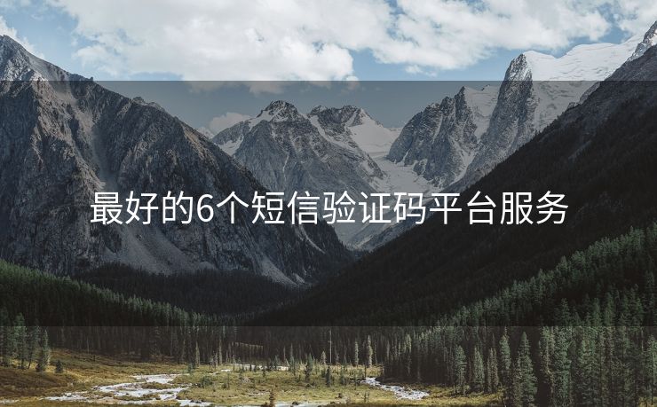 最好的6個(gè)短信驗(yàn)證碼平臺(tái)服務(wù)