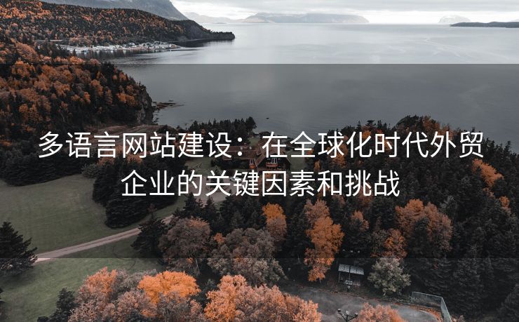 多語言網(wǎng)站建設(shè)：在全球化時代外貿(mào)企業(yè)的關(guān)鍵因素和挑戰(zhàn)