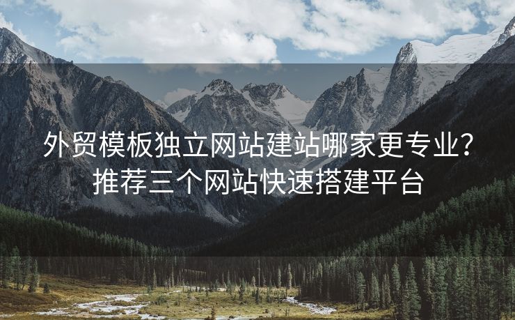 外貿(mào)模板獨(dú)立網(wǎng)站建站哪家更專業(yè)？推薦三個網(wǎng)站快速搭建平臺