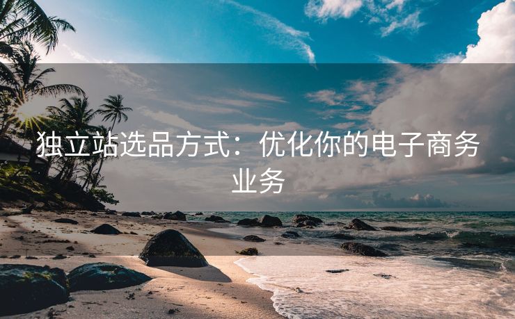 獨(dú)立站選品方式：優(yōu)化你的電子商務(wù)業(yè)務(wù)