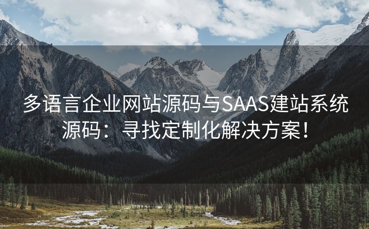 多語言企業(yè)網(wǎng)站源碼與SAAS建站系統(tǒng)源碼：尋找定制化解決方案！