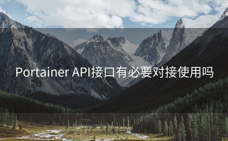 Portainer API接口有必要對接使用嗎