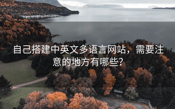 自己搭建中英文多語言網(wǎng)站，需要注意的地方有哪些？