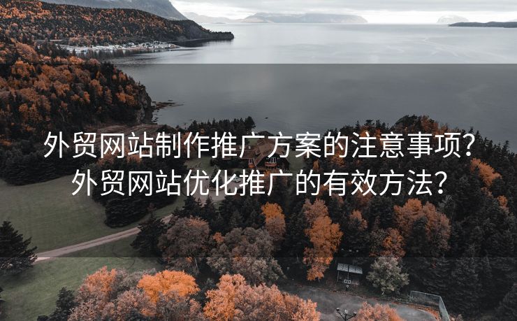 外貿(mào)網(wǎng)站制作推廣方案的注意事項(xiàng)？外貿(mào)網(wǎng)站優(yōu)化推廣的有效方法？