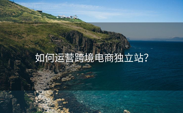 如何運(yùn)營跨境電商獨(dú)立站？