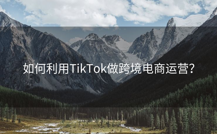 如何利用TikTok做跨境電商運(yùn)營？