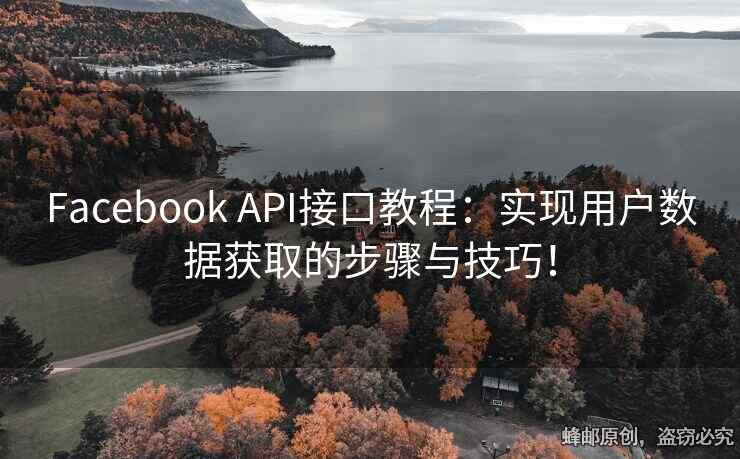Facebook API接口教程：實現(xiàn)用戶數(shù)據(jù)獲取的步驟與技巧！