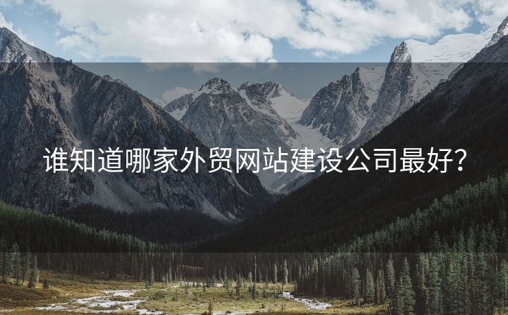 誰(shuí)知道哪家外貿(mào)網(wǎng)站建設(shè)公司最好？