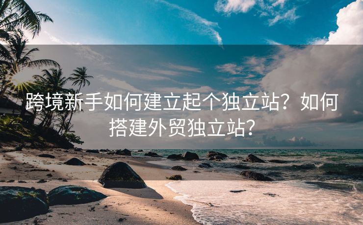 跨境新手如何建立起個(gè)獨(dú)立站？如何搭建外貿(mào)獨(dú)立站？