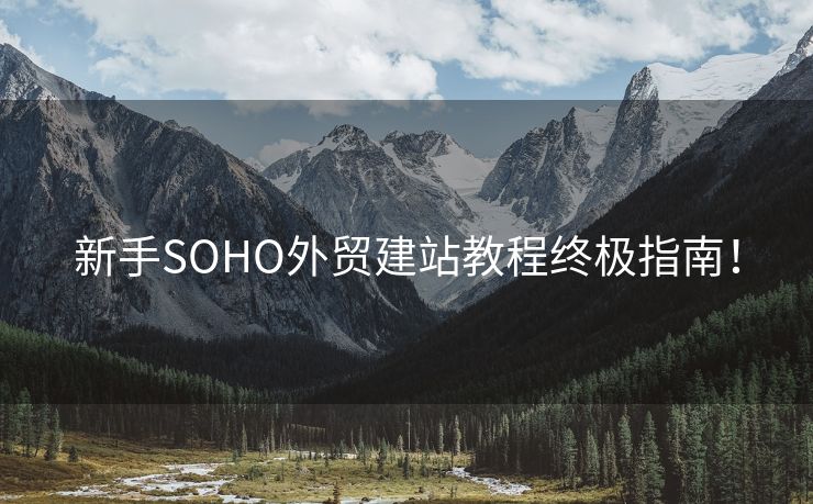 新手SOHO外貿(mào)建站教程終極指南！