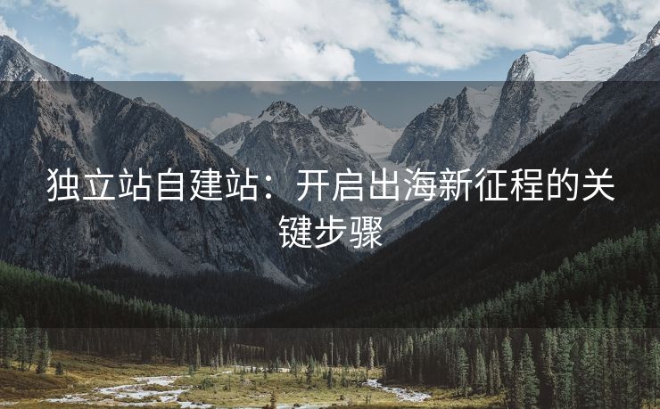 獨立站自建站：開啟出海新征程的關(guān)鍵步驟