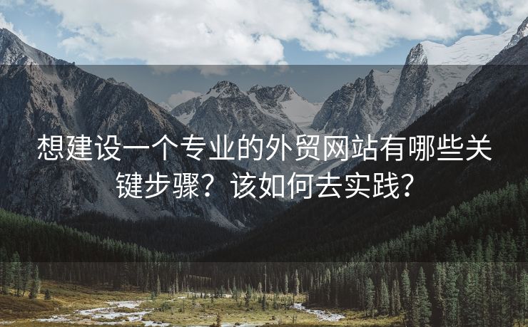 想建設(shè)一個(gè)專(zhuān)業(yè)的外貿(mào)網(wǎng)站有哪些關(guān)鍵步驟？該如何去實(shí)踐？