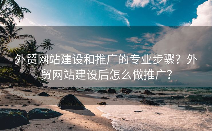 外貿(mào)網(wǎng)站建設(shè)和推廣的專業(yè)步驟？外貿(mào)網(wǎng)站建設(shè)后怎么做推廣？