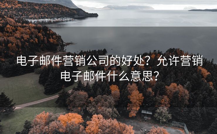 電子郵件營銷公司的好處？允許營銷電子郵件什么意思？