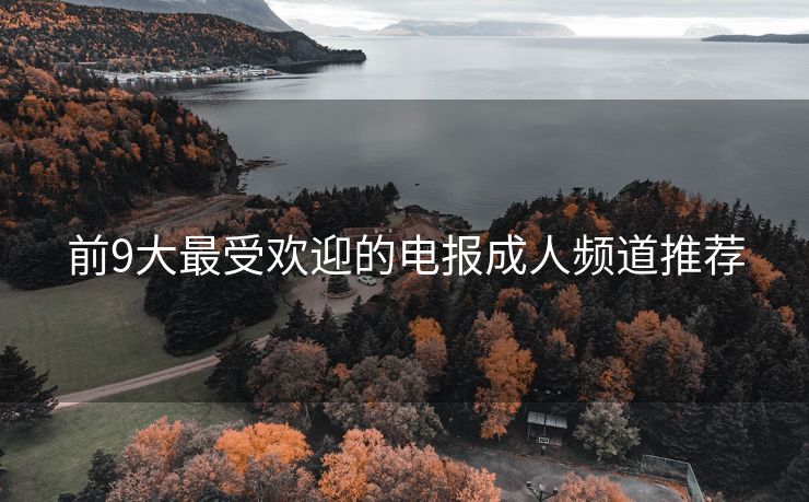 前9大最受歡迎的電報成人頻道推薦