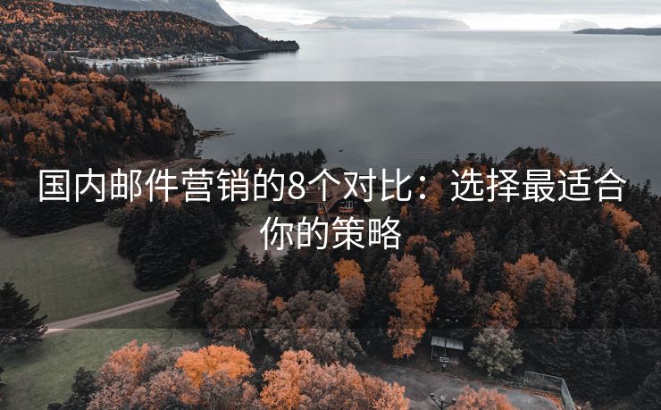國(guó)內(nèi)郵件營(yíng)銷的8個(gè)對(duì)比：選擇最適合你的策略