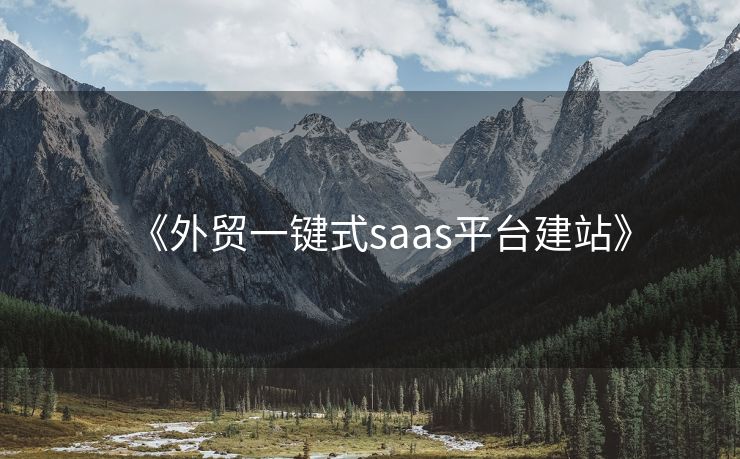 《外貿(mào)一鍵式saas平臺建站》