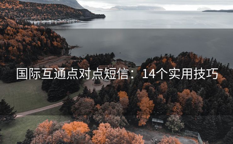 國際互通點對點短信：14個實用技巧