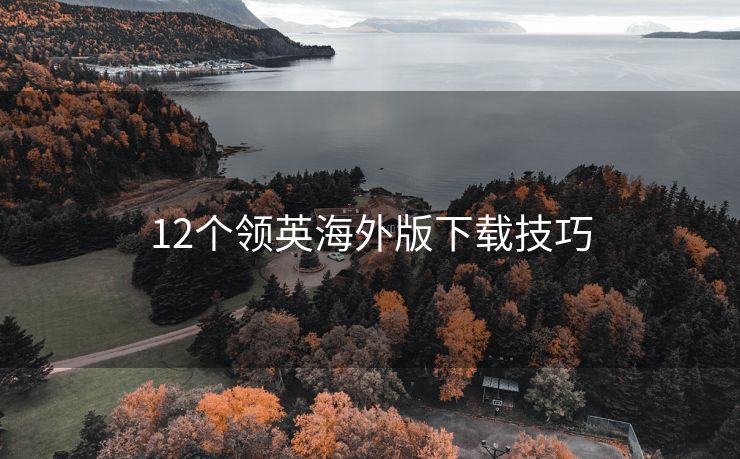 12個領(lǐng)英海外版下載技巧