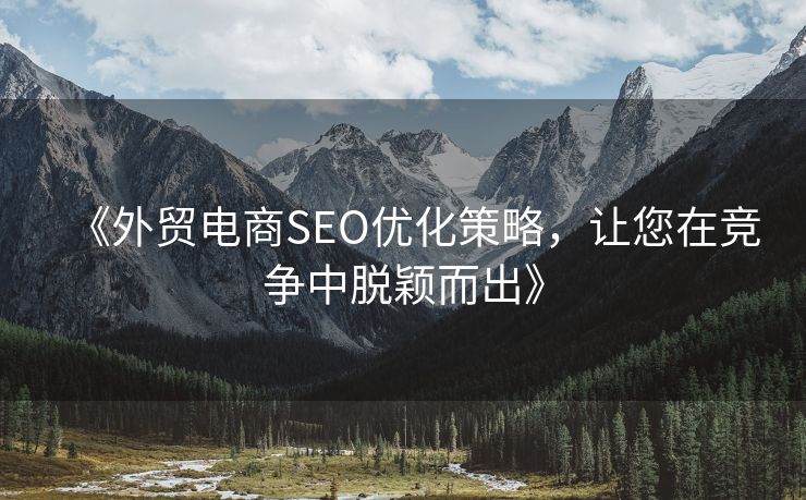 《外貿(mào)電商SEO優(yōu)化策略，讓您在競爭中脫穎而出》