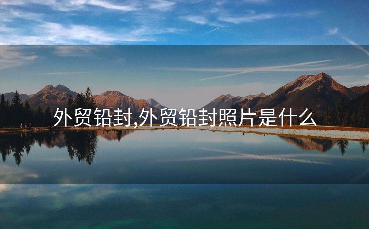 外貿(mào)鉛封,外貿(mào)鉛封照片是什么