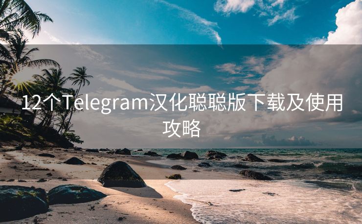 12個(gè)Telegram漢化聰聰版下載及使用攻略