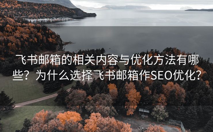 飛書郵箱的相關(guān)內(nèi)容與優(yōu)化方法有哪些？為什么選擇飛書郵箱作SEO優(yōu)化？