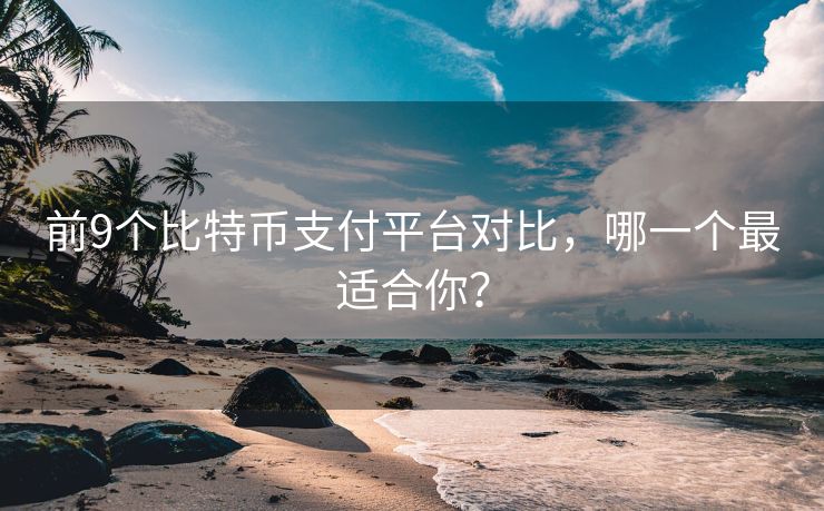 前9個(gè)比特幣支付平臺(tái)對(duì)比，哪一個(gè)最適合你？