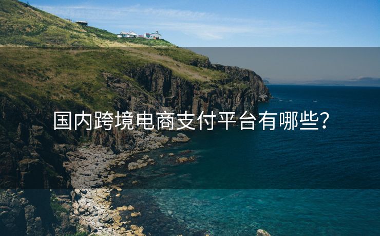 國內(nèi)跨境電商支付平臺有哪些？