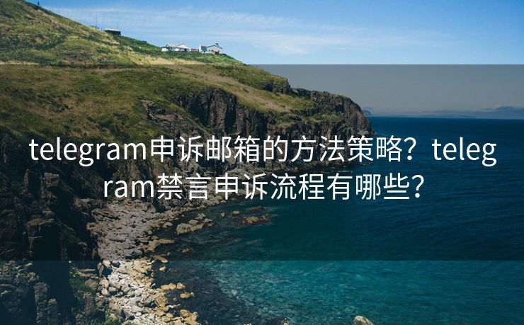 telegram申訴郵箱的方法策略？telegram禁言申訴流程有哪些？