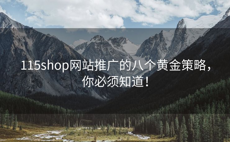 115shop網(wǎng)站推廣的八個黃金策略，你必須知道！