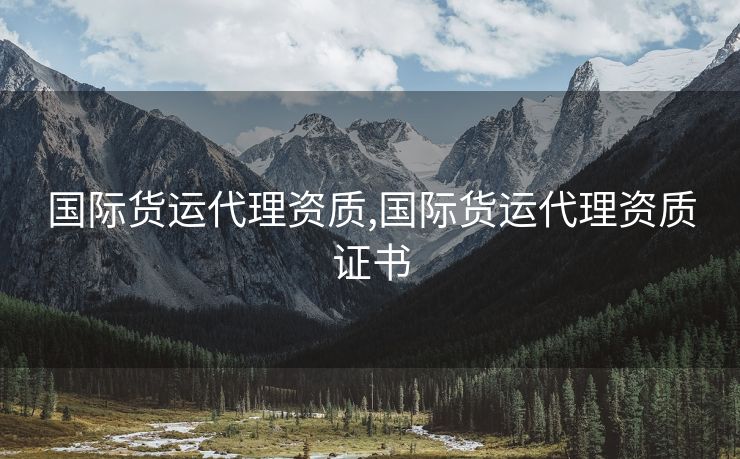 國際貨運(yùn)代理資質(zhì),國際貨運(yùn)代理資質(zhì)證書