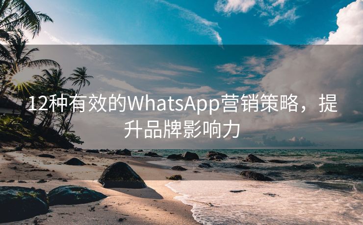 12種有效的WhatsApp營銷策略，提升品牌影響力