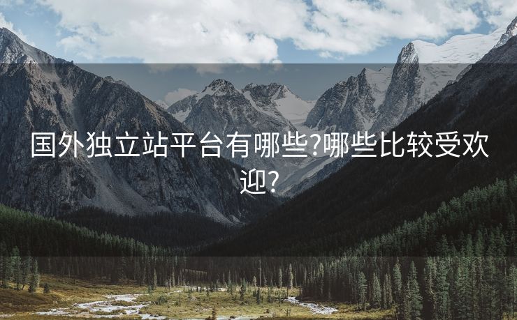 國外獨立站平臺有哪些?哪些比較受歡迎?