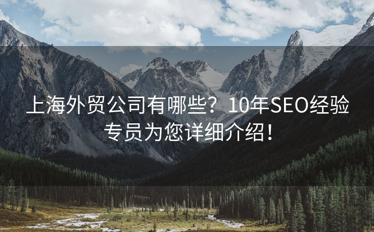 上海外貿(mào)公司有哪些？10年SEO經(jīng)驗(yàn)專員為您詳細(xì)介紹！