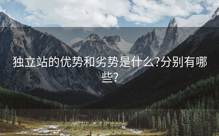 獨立站的優(yōu)勢和劣勢是什么?分別有哪些?