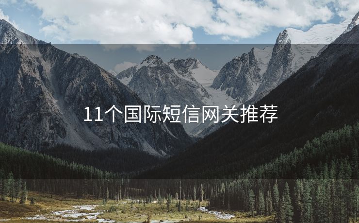 11個國際短信網(wǎng)關推薦