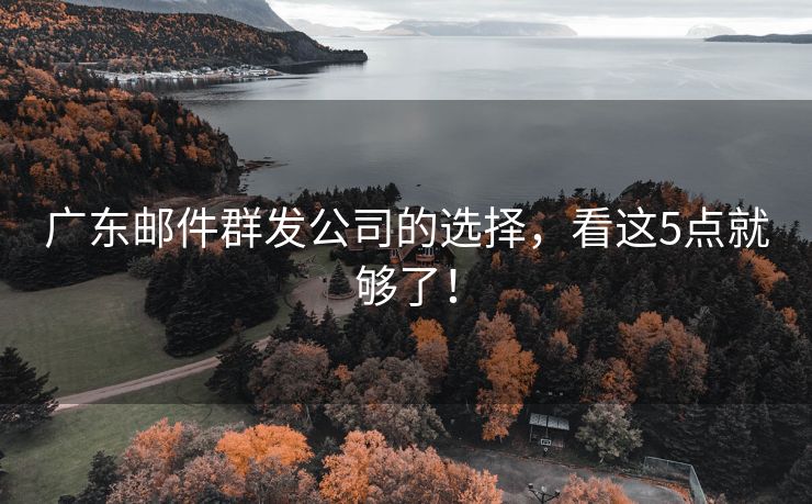 廣東郵件群發(fā)公司的選擇，看這5點就夠了！