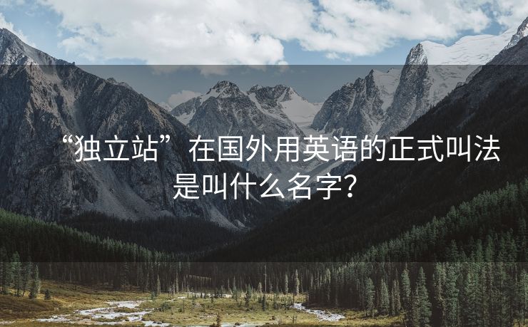 “獨(dú)立站”在國(guó)外用英語(yǔ)的正式叫法是叫什么名字？