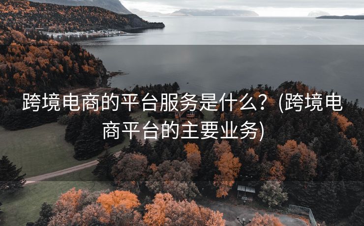 跨境電商的平臺(tái)服務(wù)是什么？(跨境電商平臺(tái)的主要業(yè)務(wù))
