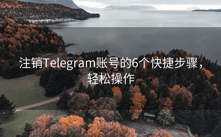 注銷Telegram賬號(hào)的6個(gè)快捷步驟，輕松操作