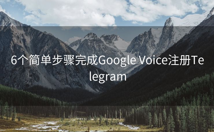 6個(gè)簡(jiǎn)單步驟完成Google Voice注冊(cè)Telegram
