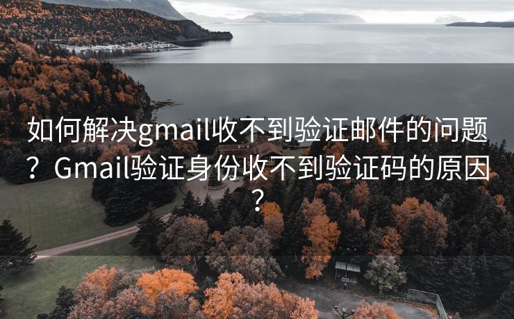 如何解決gmail收不到驗(yàn)證郵件的問題？Gmail驗(yàn)證身份收不到驗(yàn)證碼的原因？