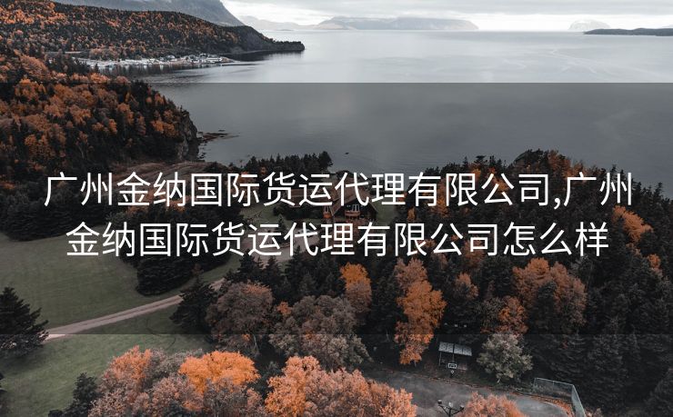 廣州金納國(guó)際貨運(yùn)代理有限公司,廣州金納國(guó)際貨運(yùn)代理有限公司怎么樣