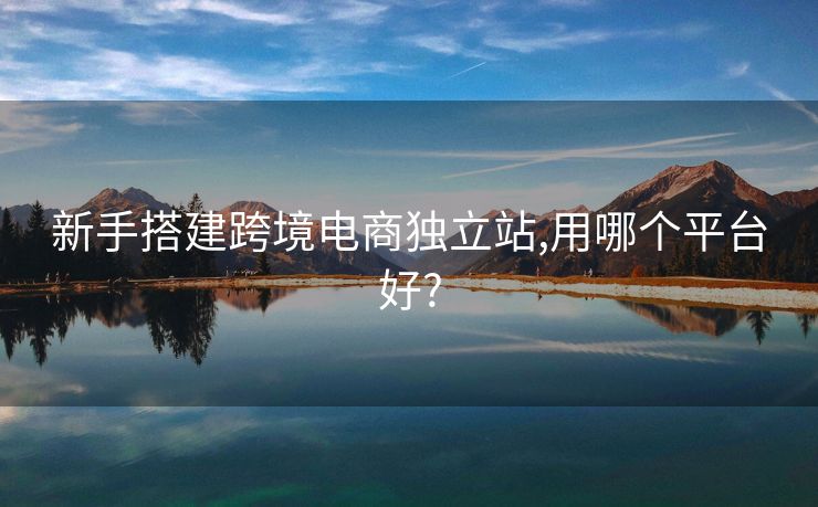 新手搭建跨境電商獨立站,用哪個平臺好?