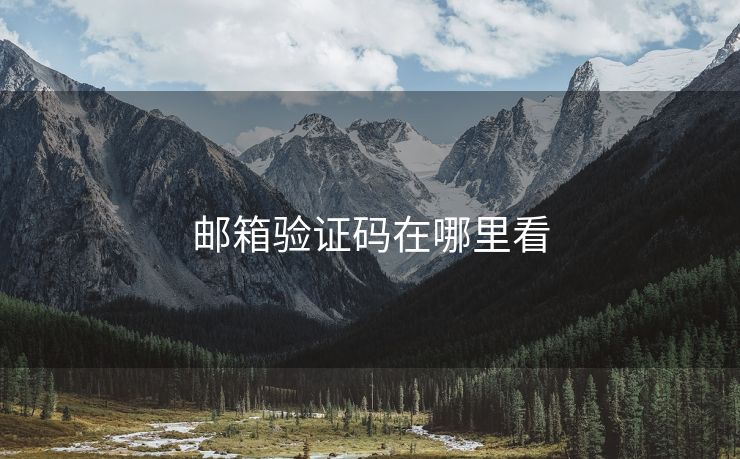 郵箱驗(yàn)證碼在哪里看