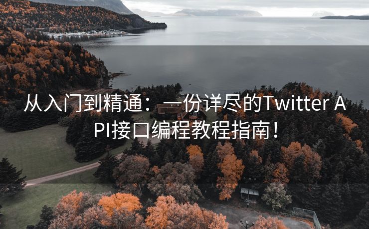 從入門到精通：一份詳盡的Twitter API接口編程教程指南！