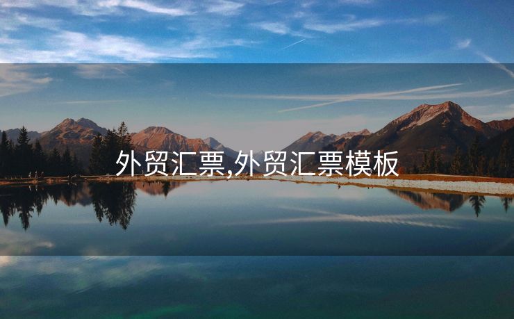 外貿(mào)匯票,外貿(mào)匯票模板
