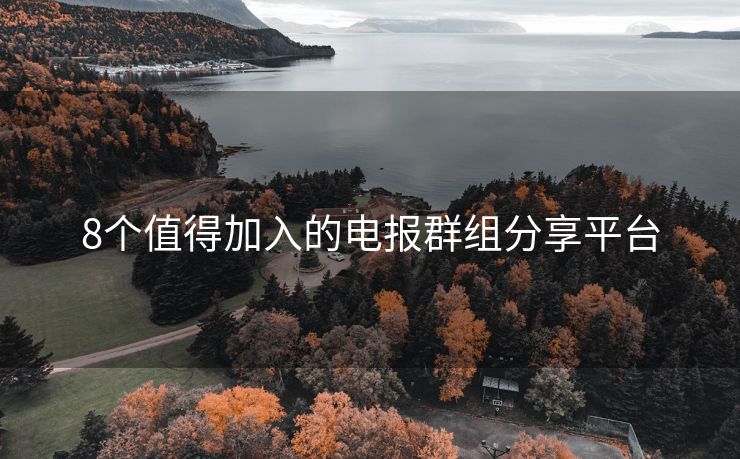 8個值得加入的電報群組分享平臺