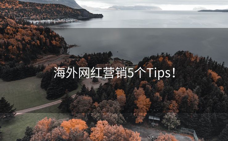 海外網(wǎng)紅營(yíng)銷5個(gè)Tips！